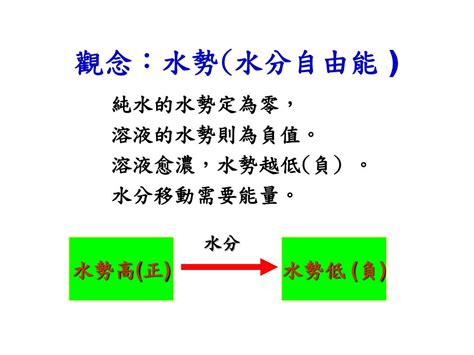 水勢能|水與植物細胞